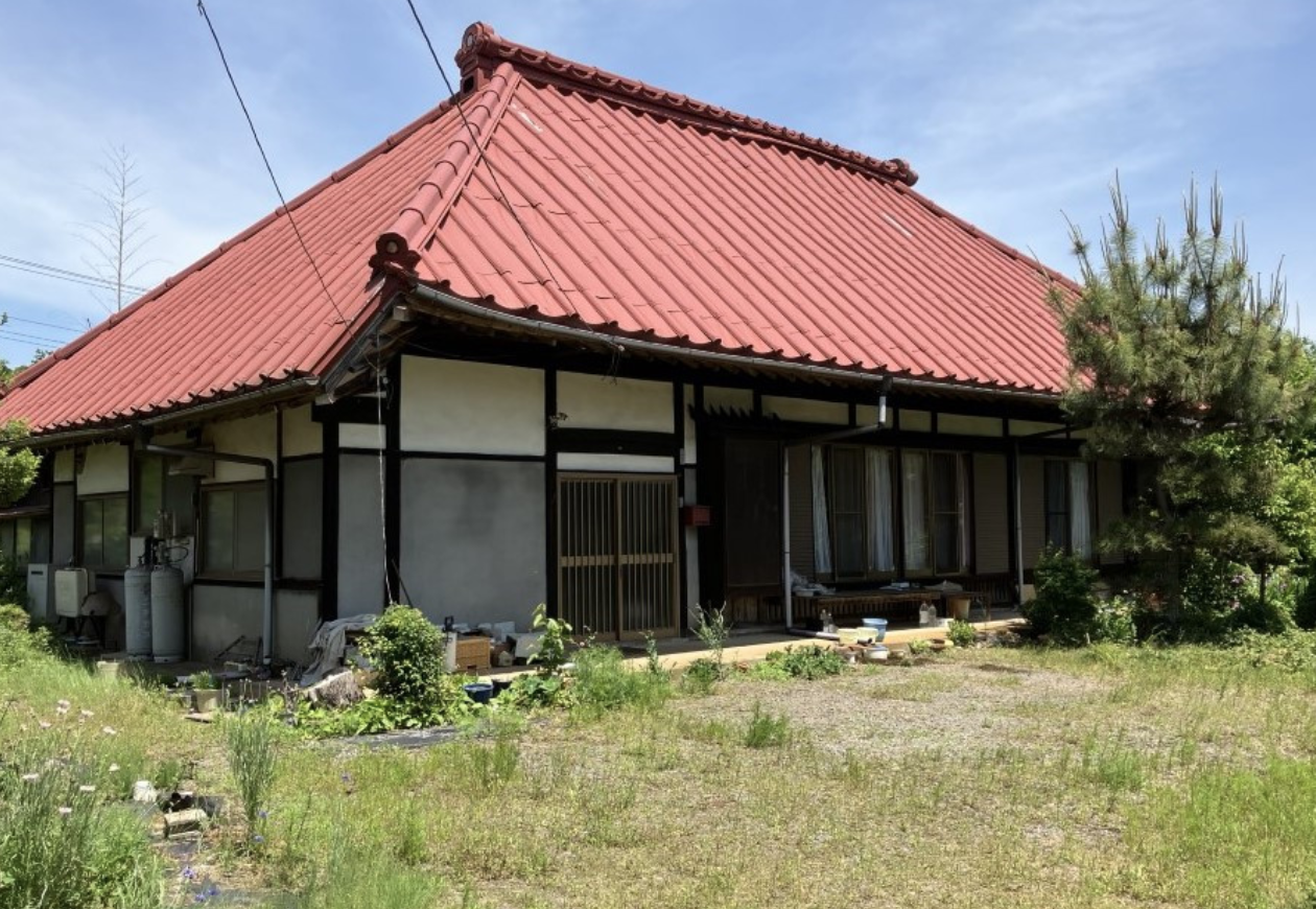 写真1