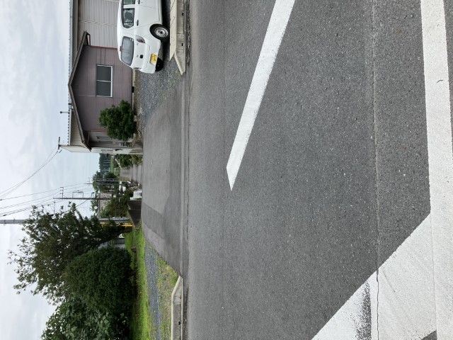 写真1