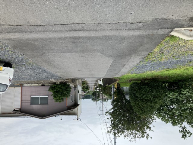 写真2