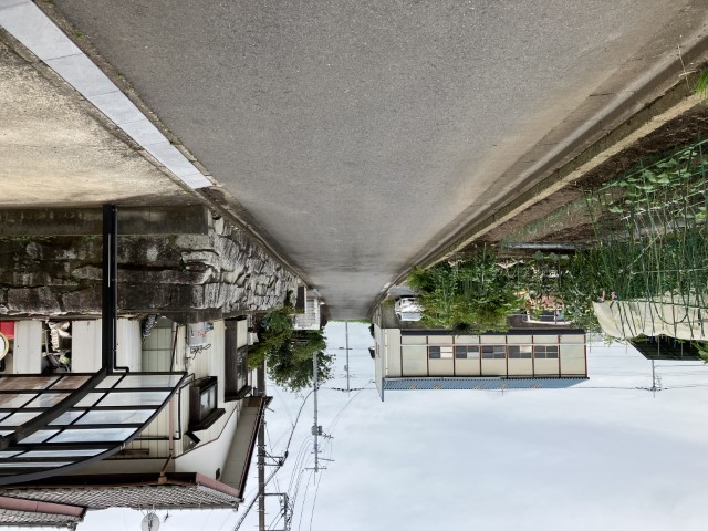 写真9
