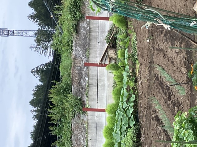 写真10