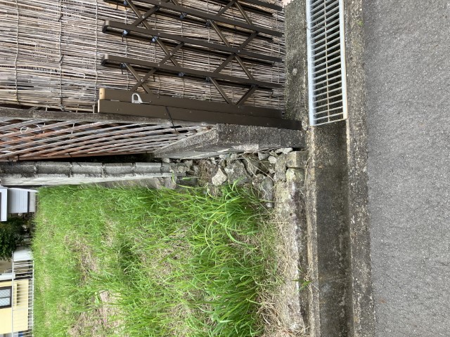 写真6